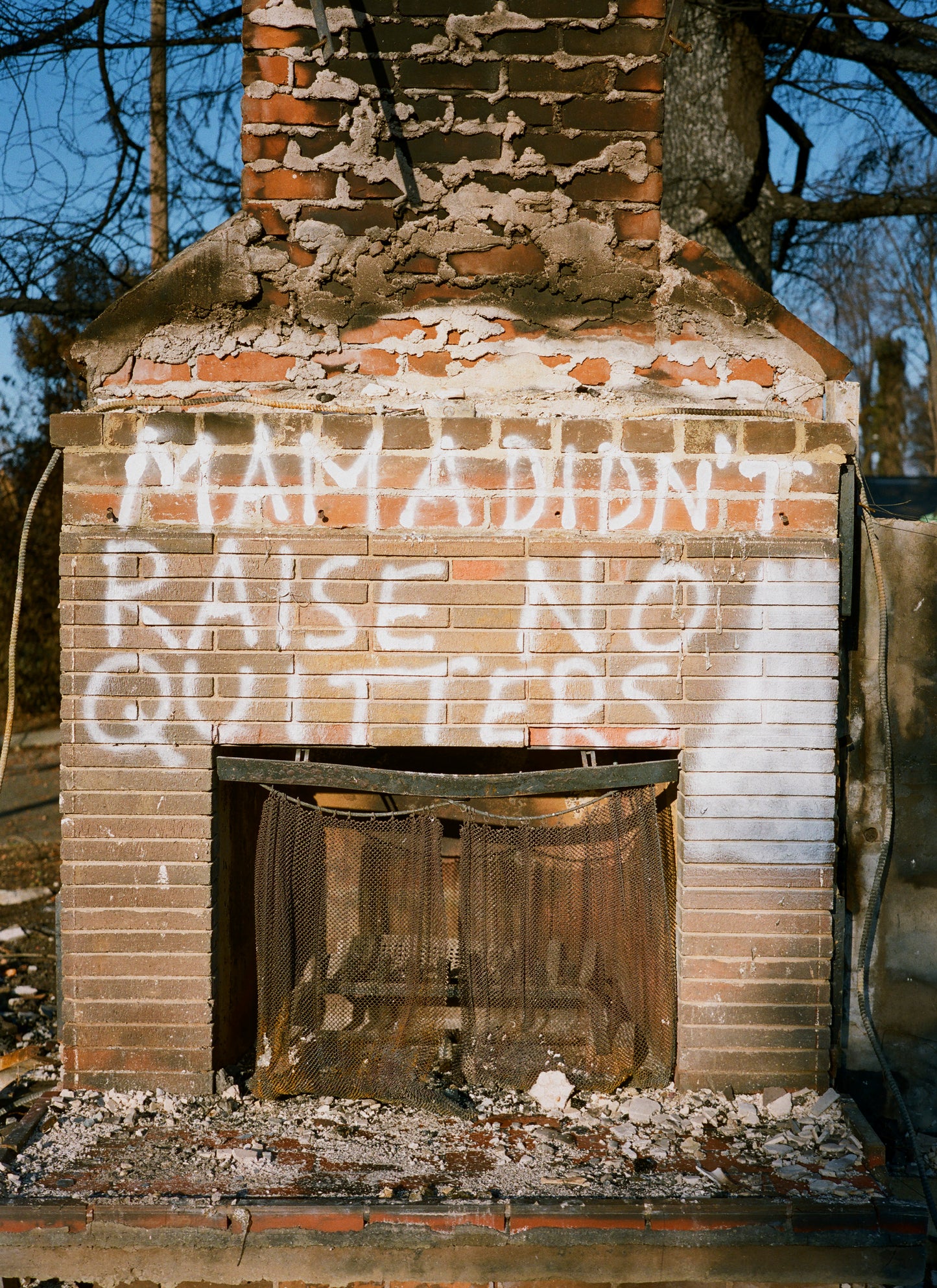 Luctor et Emergo (2025)