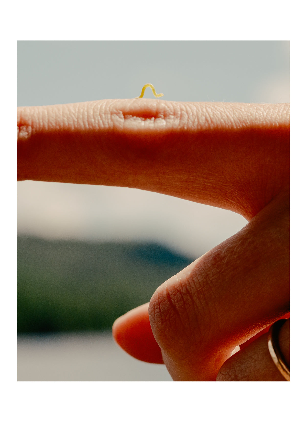 Untitled (Lewey Lake)