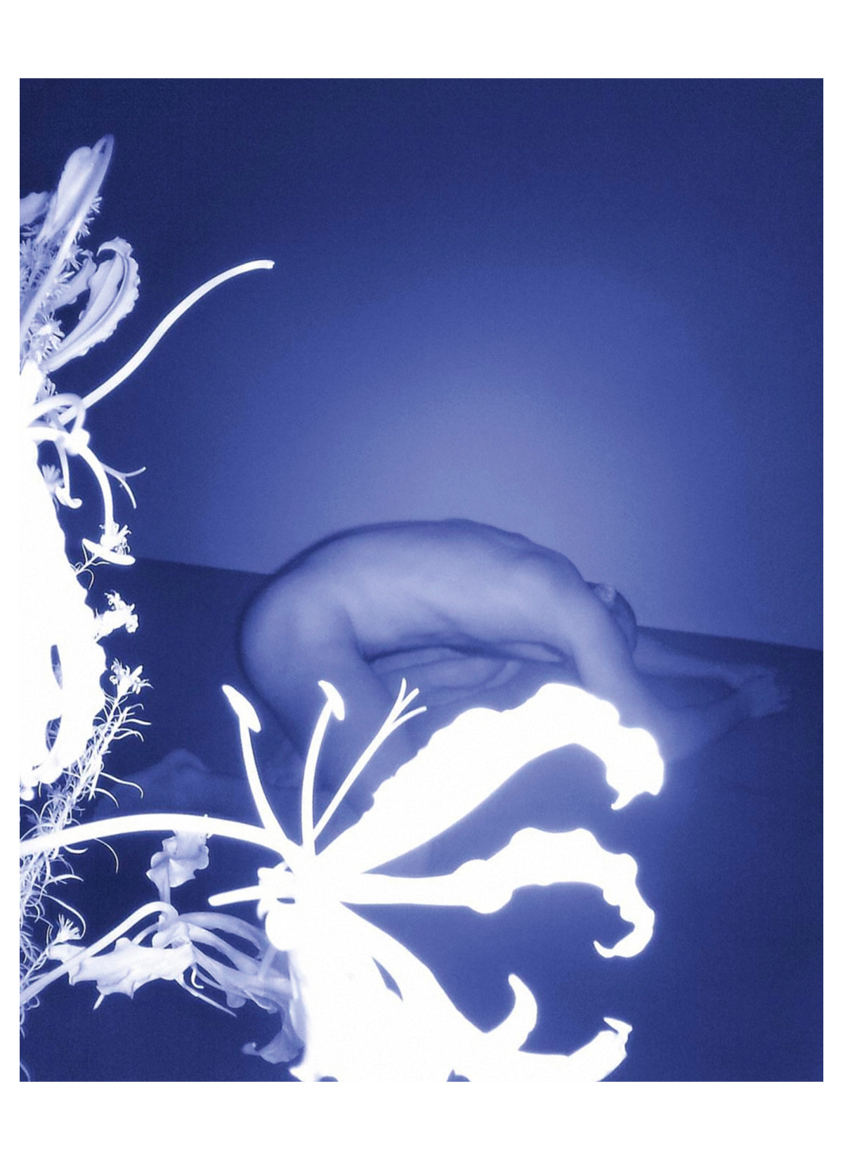 Untitled (portrait of Antonin)