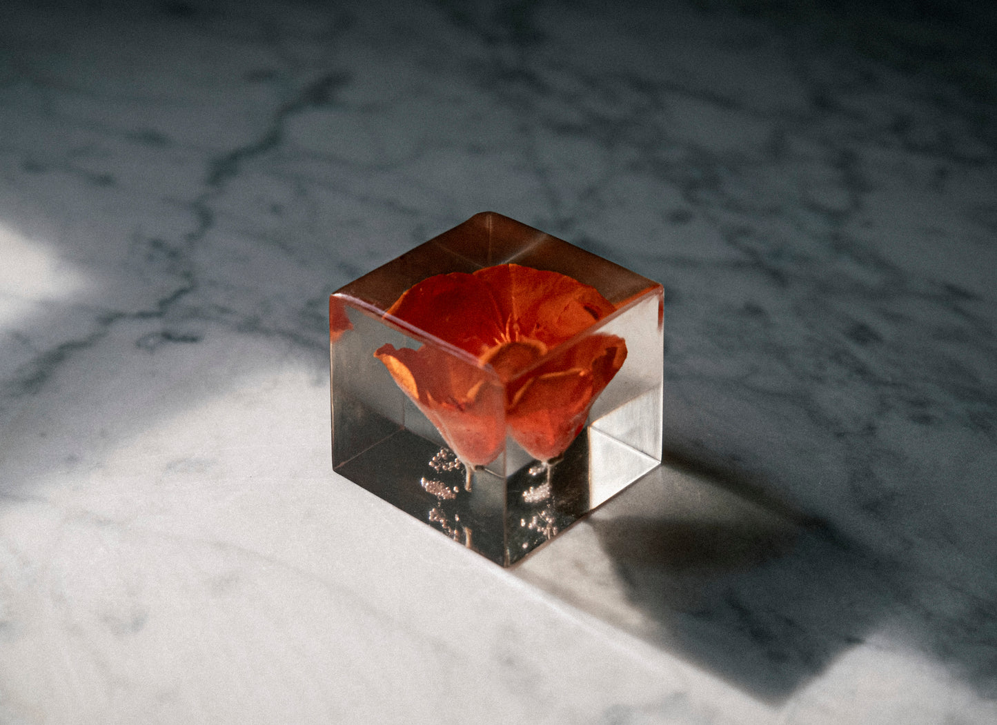 Sealed in light, yet never gone