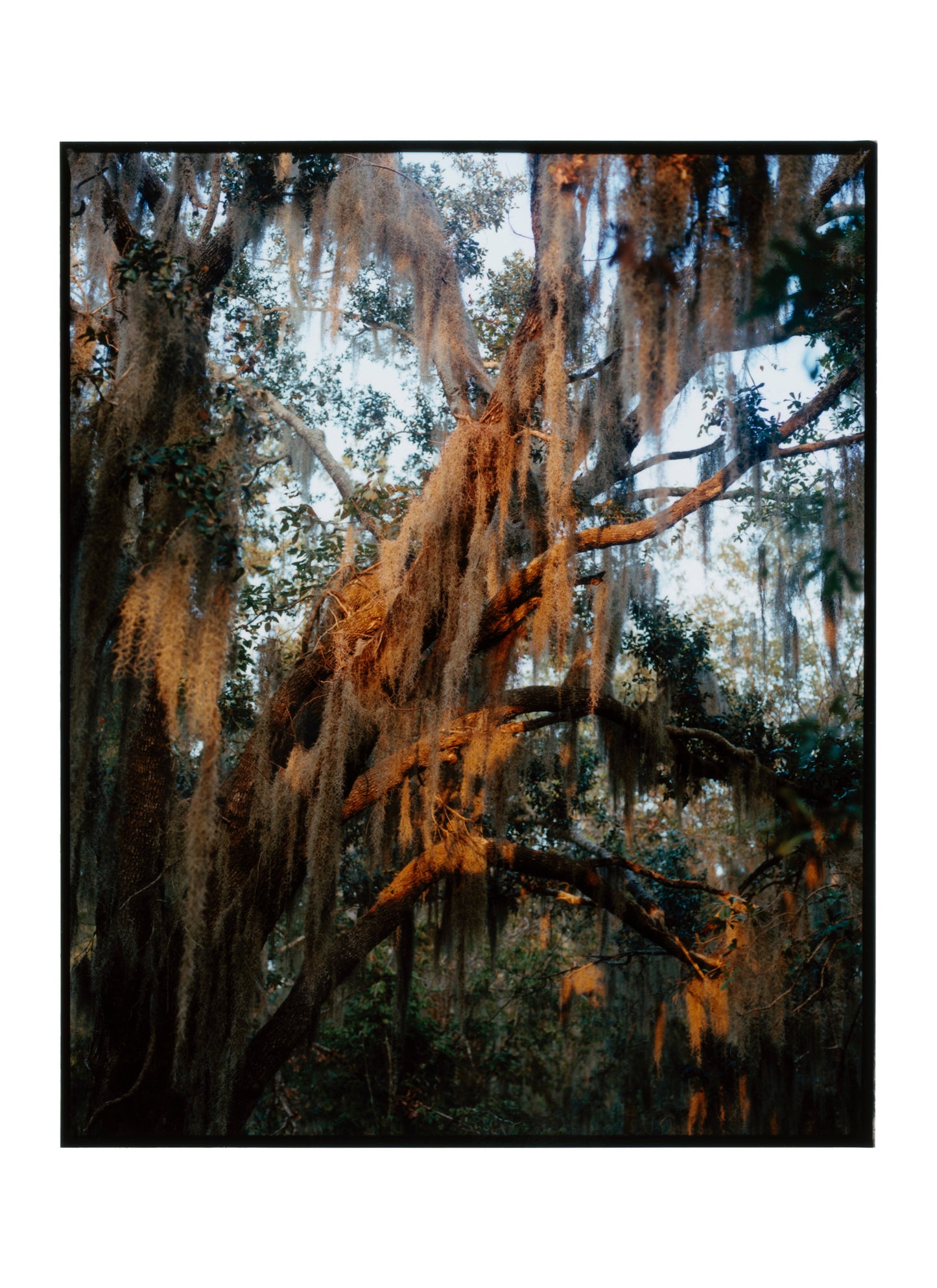 untitled, new orleans (2023)