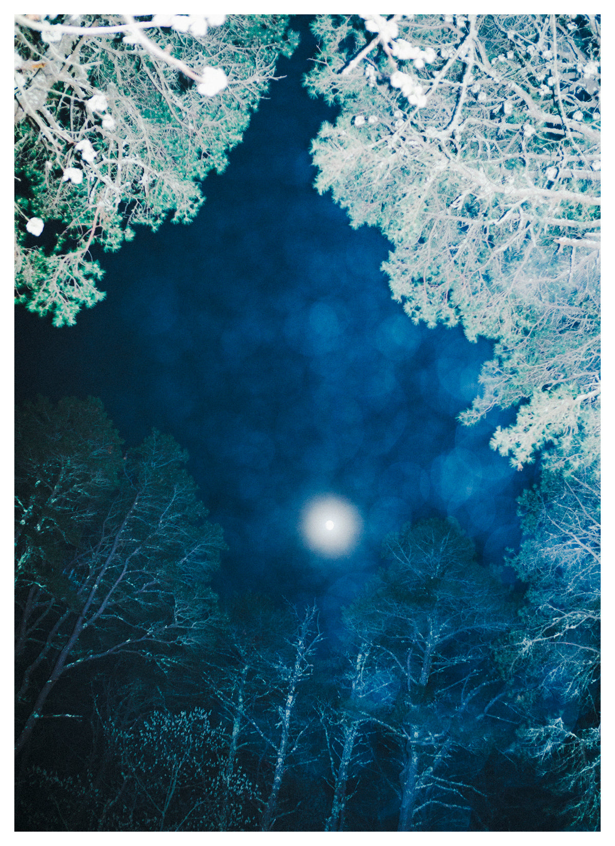 Wellfleet Moon (2024)